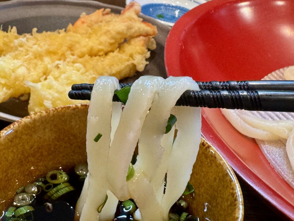 「うどんうどん」えび天ザルうどん