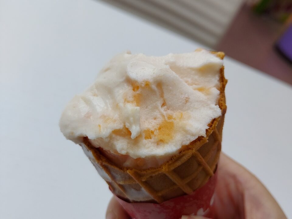 「道の駅七城メロンドーム」の生赤メロンソフトクリーム