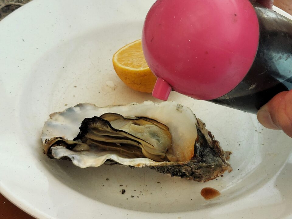 「守江湾 牡蠣の家」焼き牡蠣