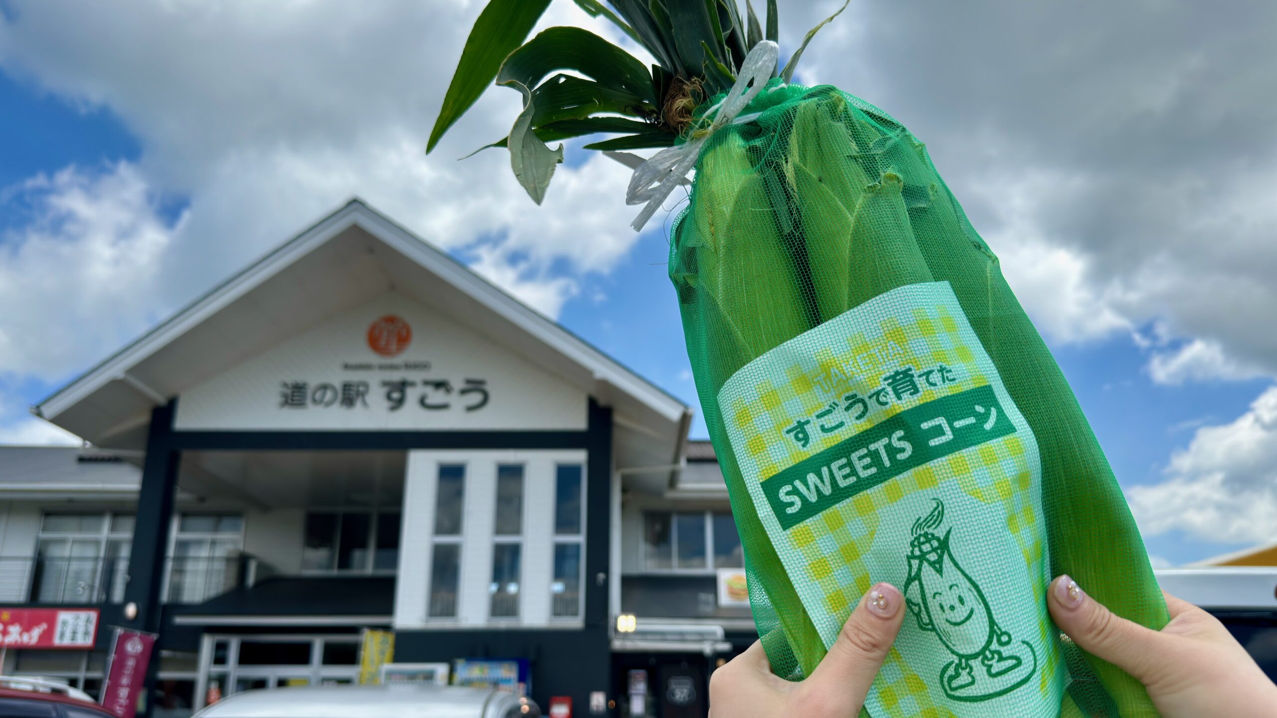 道の駅すごう