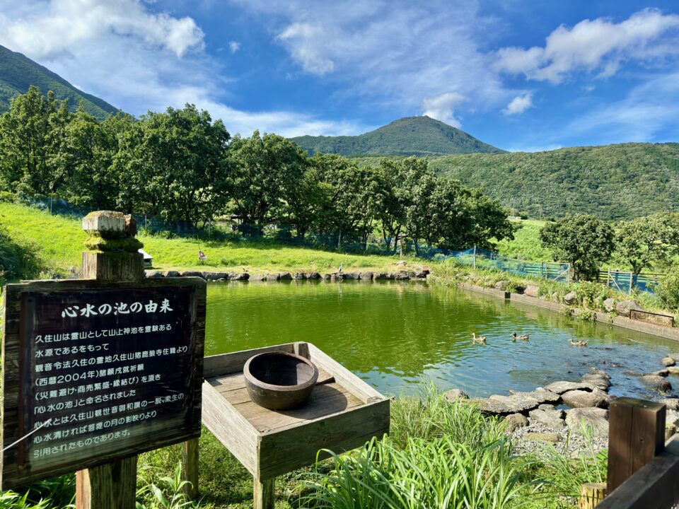 「ガンジー牧場」心水の池