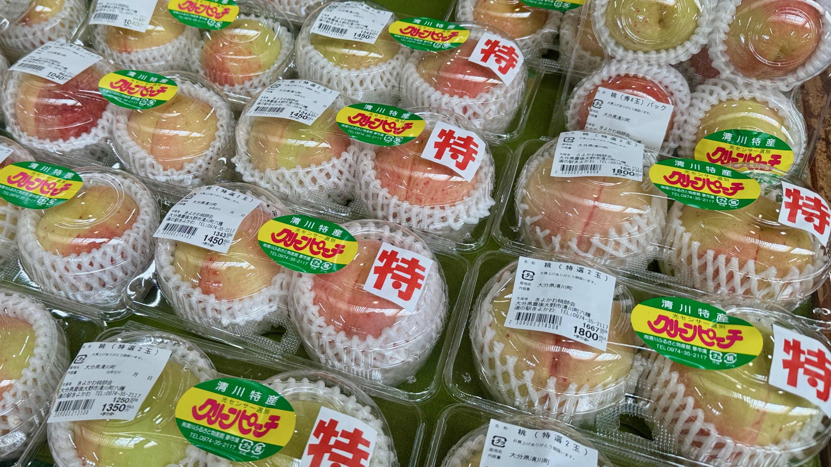 清川ふるさと物産館夢市場（道の駅きよかわ）