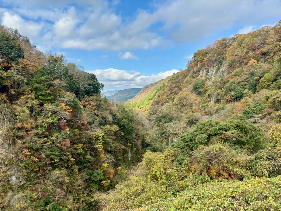 「桂茶屋」九酔渓