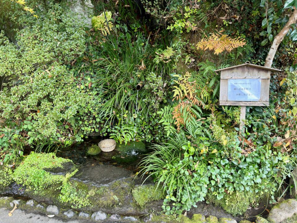 「桂茶屋」願い水