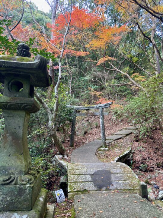 白馬渓(臼杵市前田馬代)