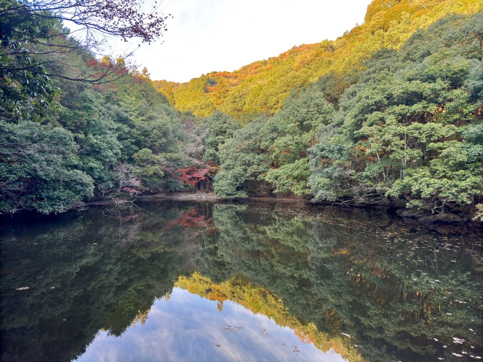 白馬渓(臼杵市前田馬代)