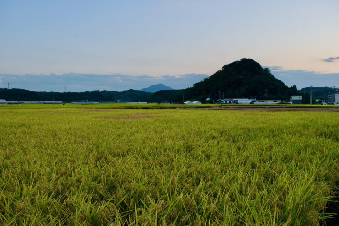 碇山（大分市）