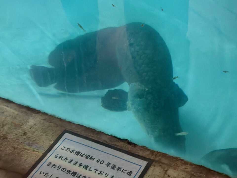 白池地獄