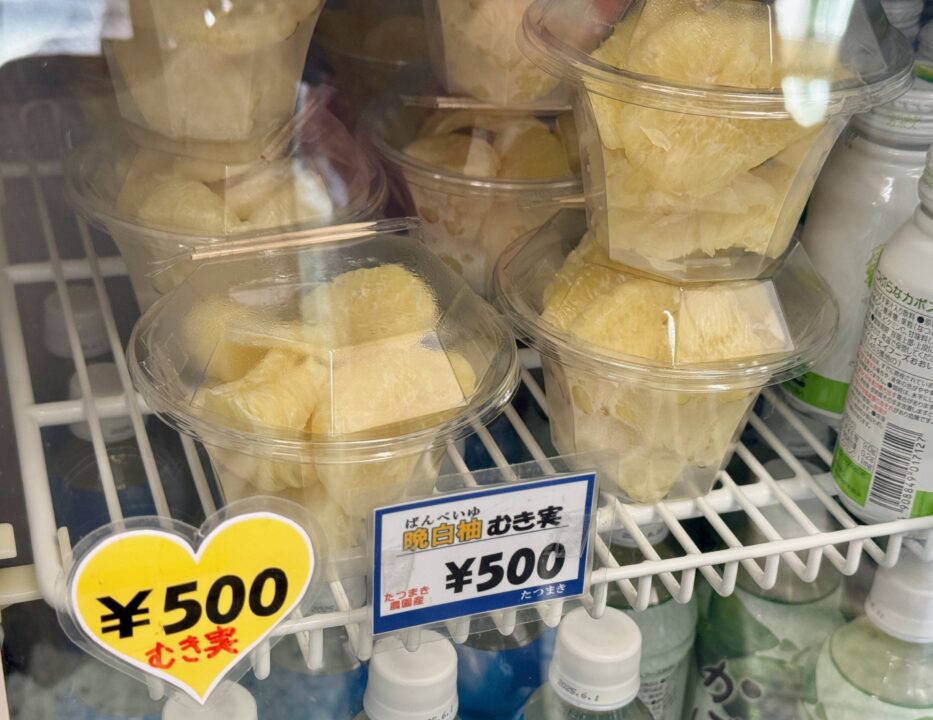 「龍巻地獄」ジェラートショップ
