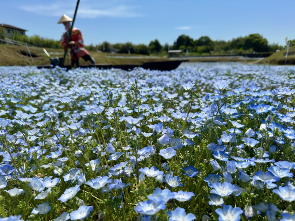 おかばる花公園