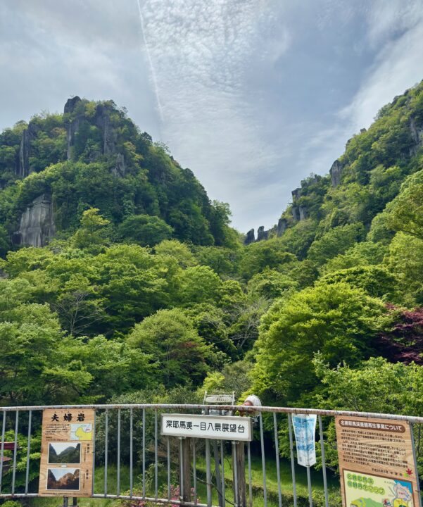 一目八景