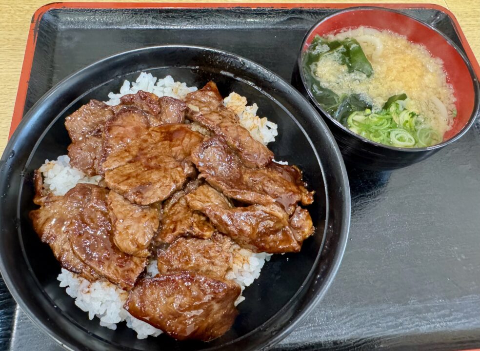 「鳴門うどん光吉店」ステーキ丼・単品