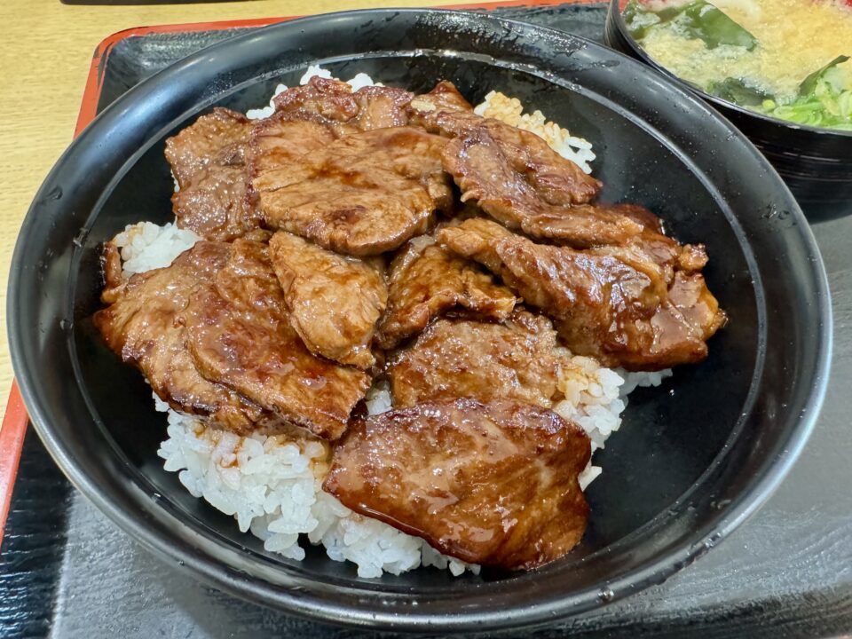 「鳴門うどん光吉店」ステーキ丼・単品