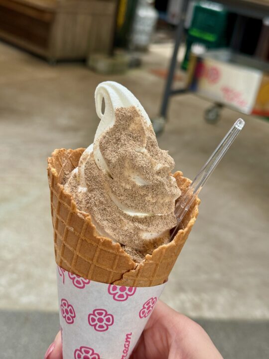 「道の駅 耶馬トピア」そばんこソフト