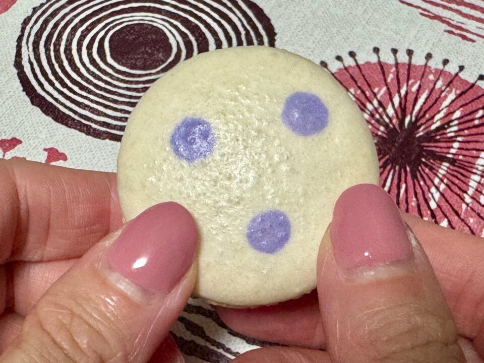 「パティスリー パマル(Patisserie Pasmal)」ラムレーズンマカロン