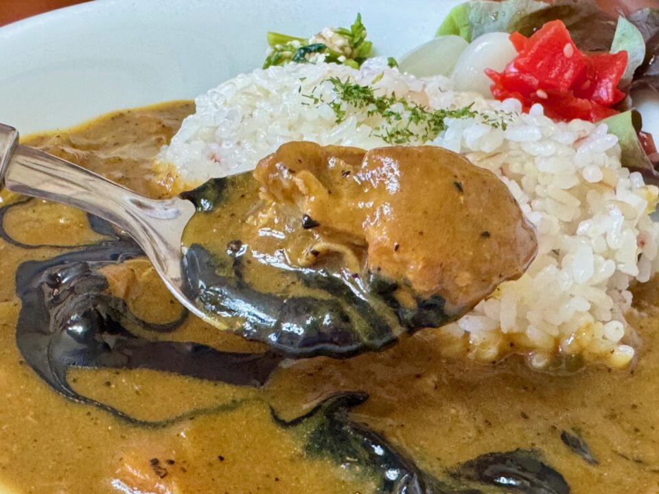 「森の音色」タイ風黒ごまカレー