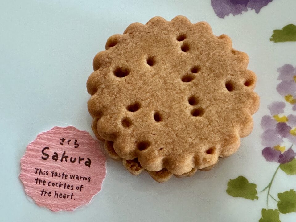 「お菓子のアトリエ シュクル」さくら塩サブレ