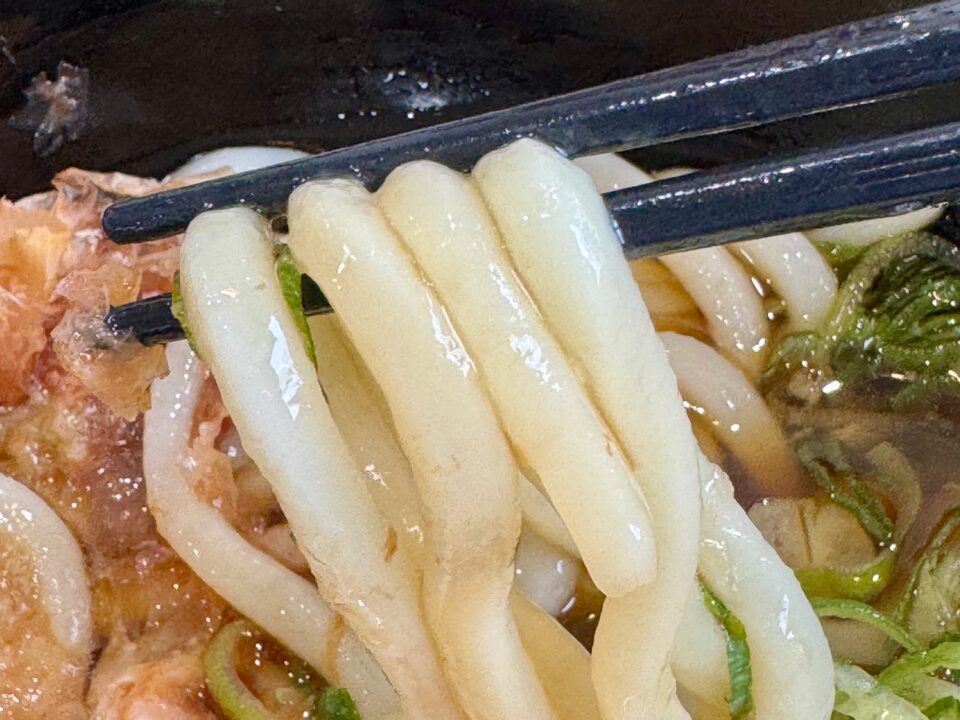 「鳴門うどん光吉店」山かけおろしうどん
