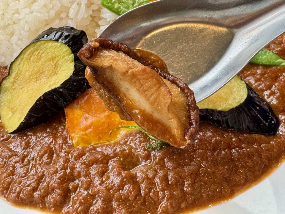 「百種（ももくさ）」スパイスヴィーガンカレー