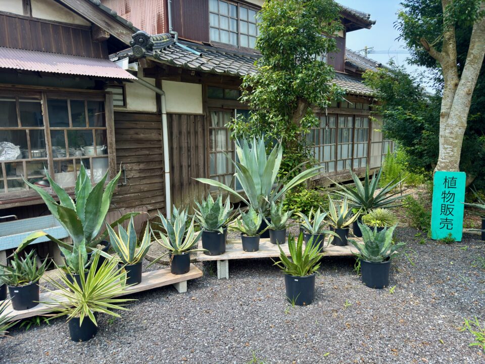 「百種（ももくさ）」外観
