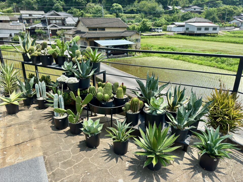 「百種（ももくさ）」外観