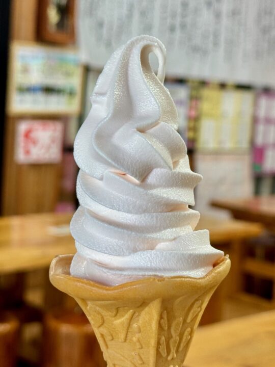 「清川ふるさと物産館 夢市場(道の駅きよかわ)」ももソフト