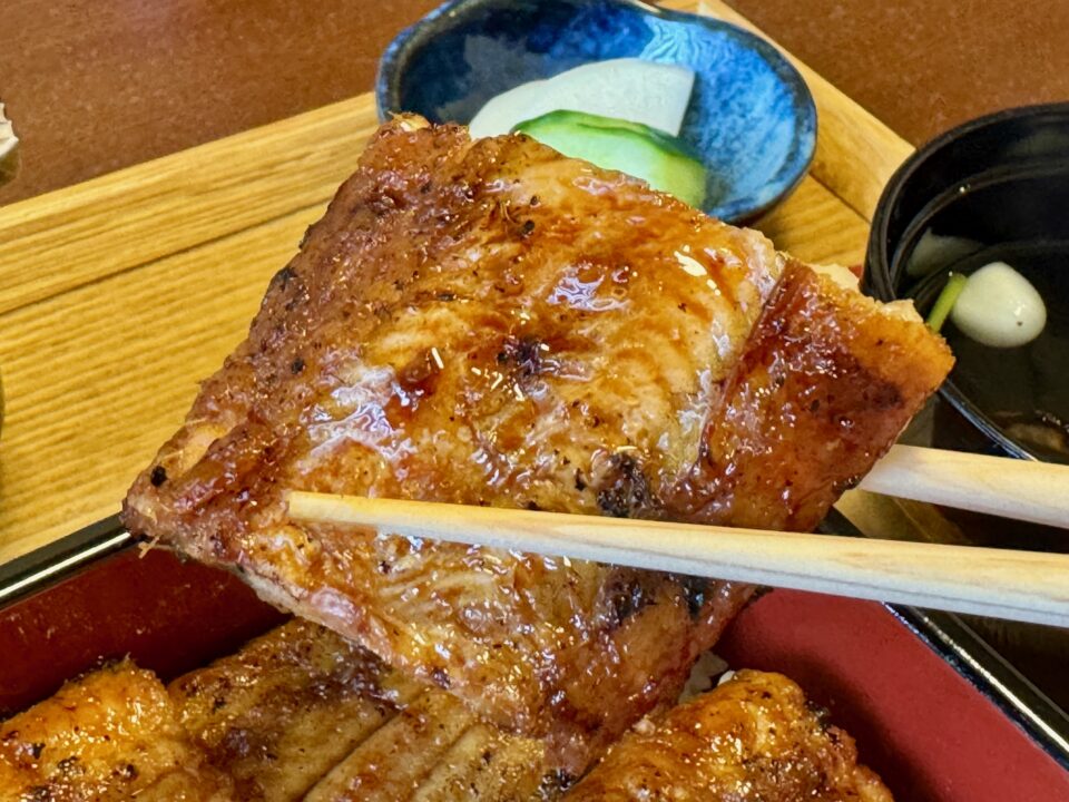 「鰻 松はし」うな重
