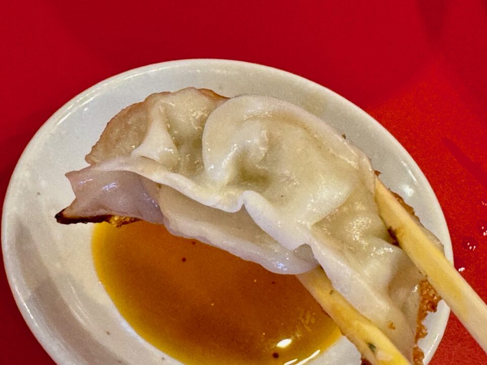 「懐かしの味 豚骨伝説タロー」ぎょうざ
