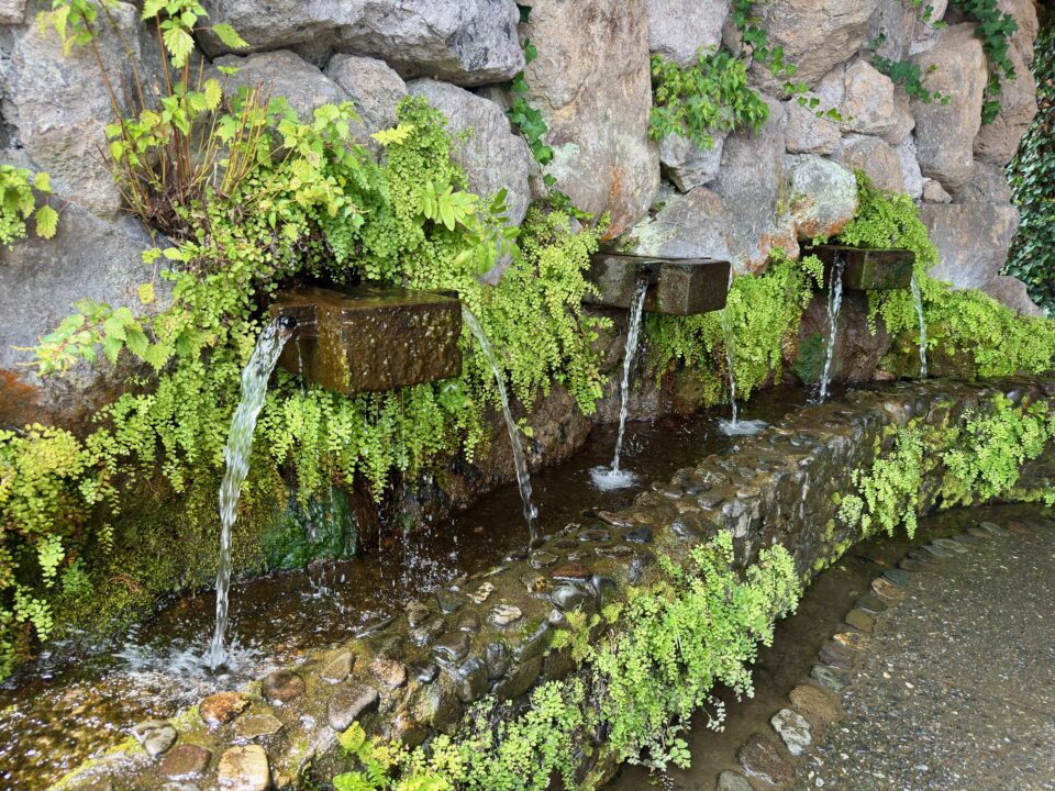 「お食事処 たきた」小津留湧水