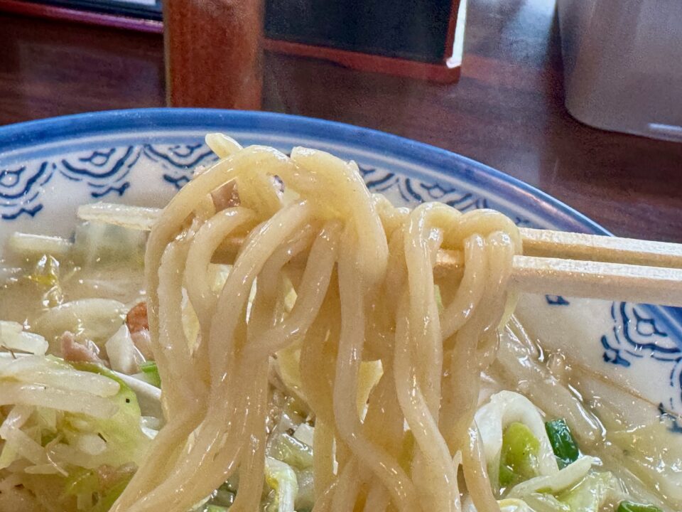 「井手ちゃんぽん わさだ店」ちゃんぽん