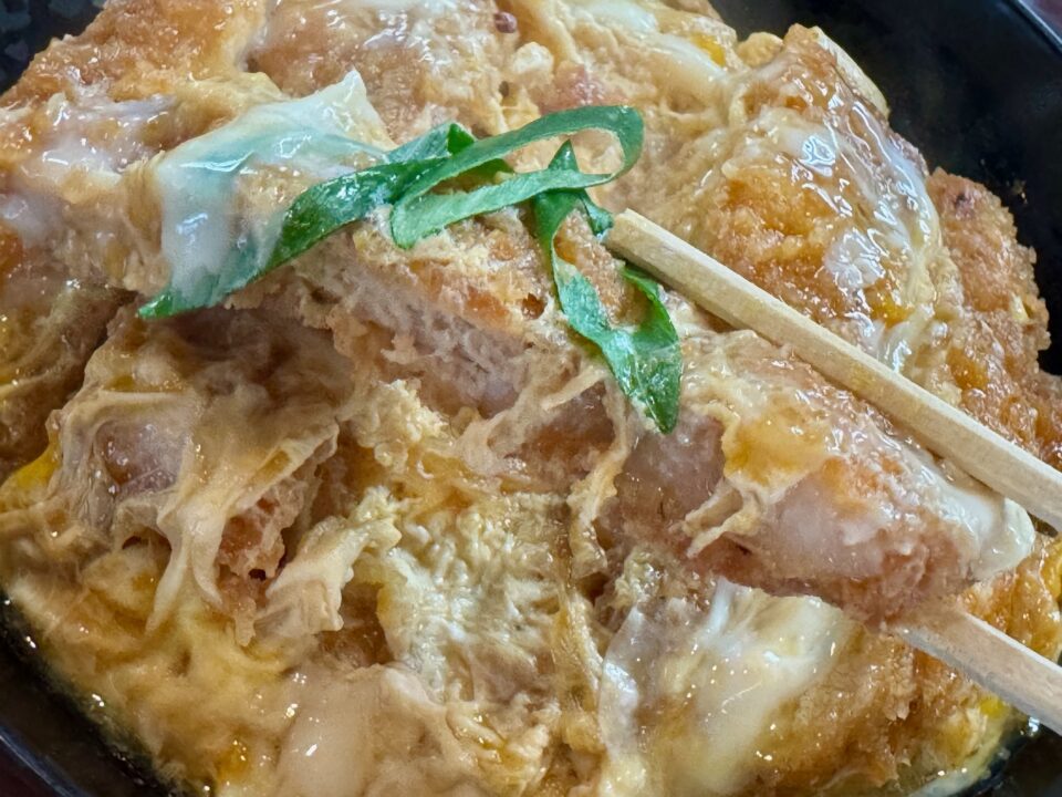 「井手ちゃんぽん わさだ店」カツ丼