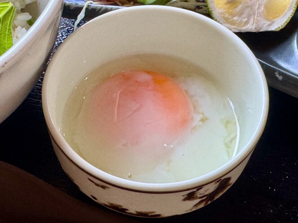 「媛乃屋食堂」りゅうきゅう丼と関アジフライ定食