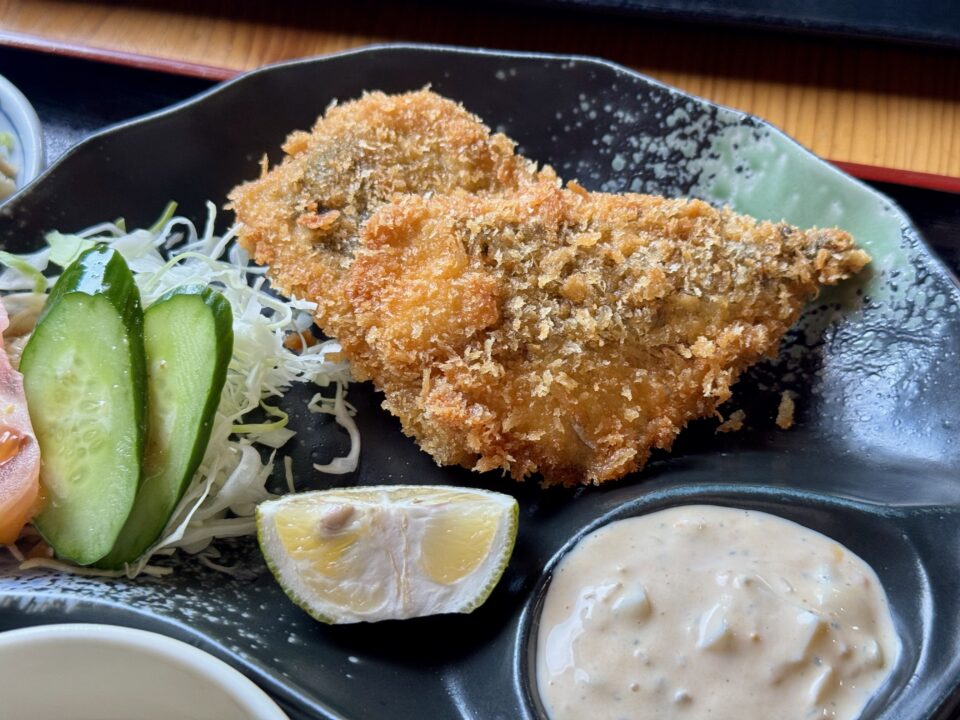 「媛乃屋食堂」りゅうきゅう丼と関アジフライ定食