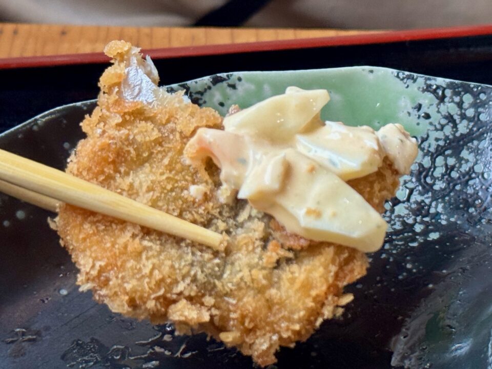 「媛乃屋食堂」りゅうきゅう丼と関アジフライ定食