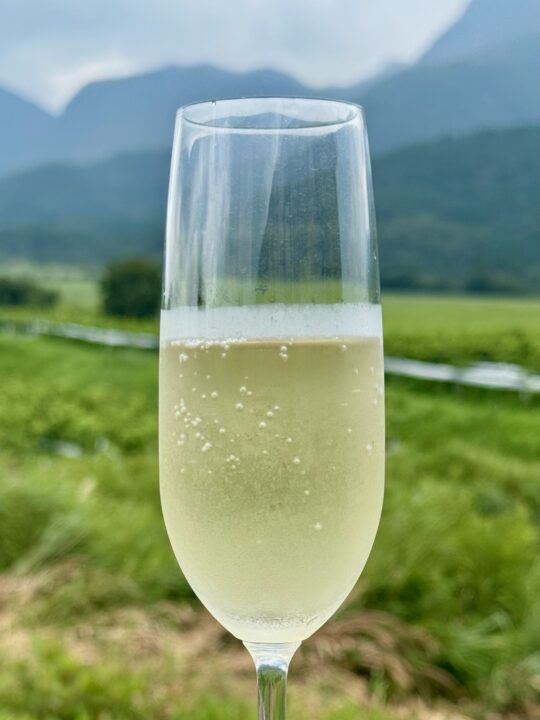 「久住ワイナリー」グラスワイン（デラウェア スパークリング・白）