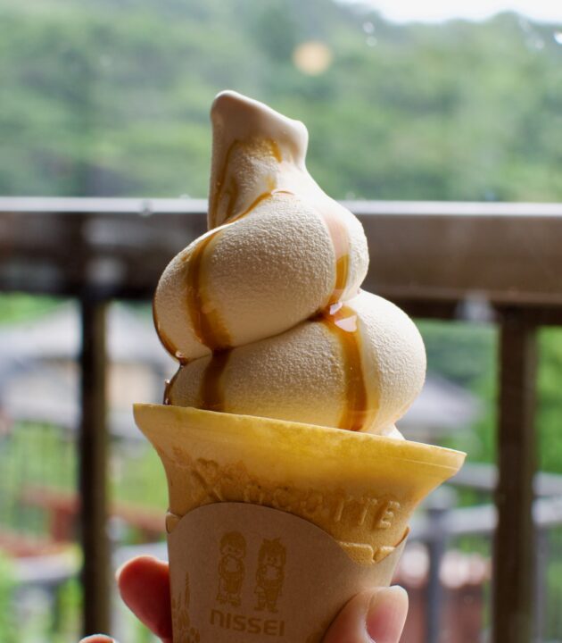 「岡本屋売店」地獄蒸しプリンソフト