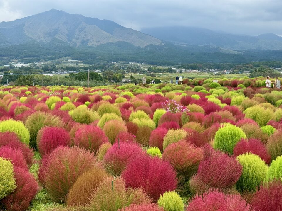 道の駅 あそ望の郷くぎの