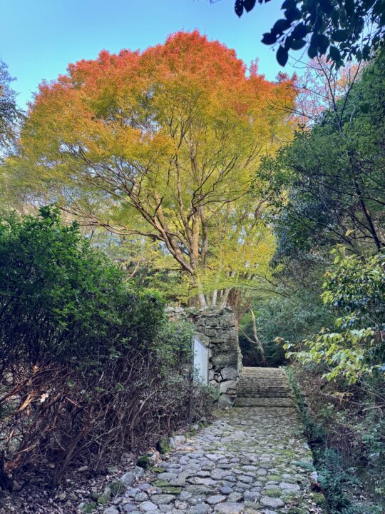 旧千燈寺跡(国東市国見町)