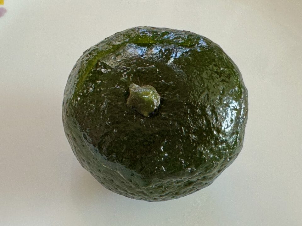 「松村万珠堂」かぼりん