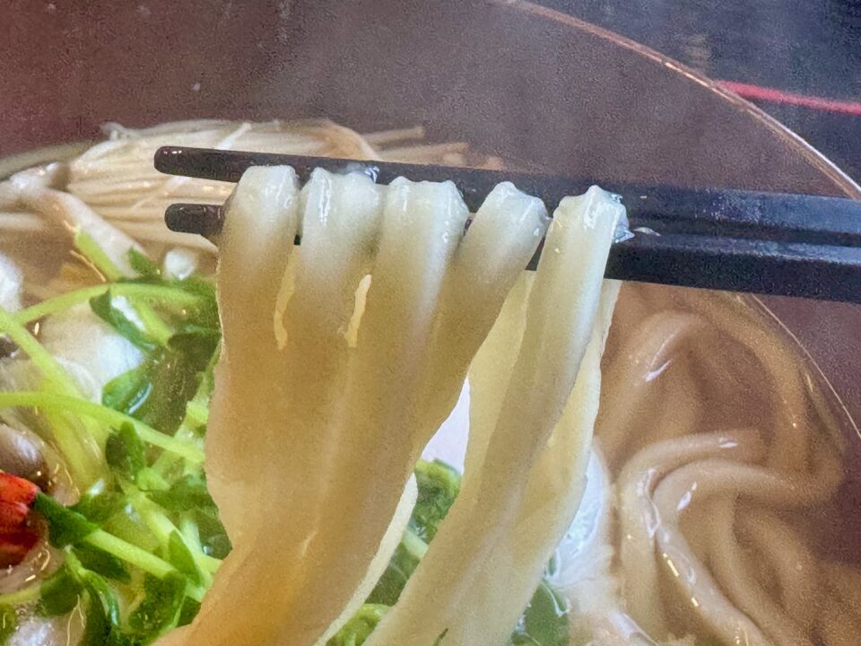 「豊後おかめうどん」鍋焼きうどん