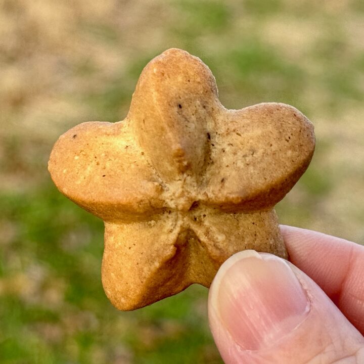 「サンドウィッチとおそうざい しほじ1111」クッキー