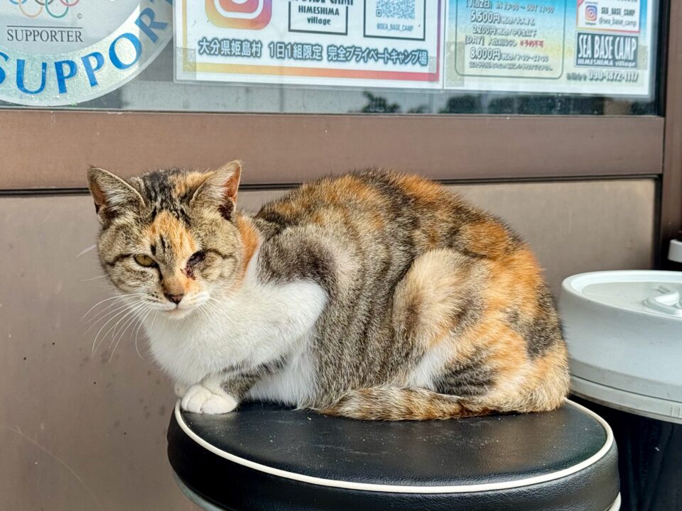 「OZI CAFE HIMESHIMA（オージーカフェヒメシマ）」外観