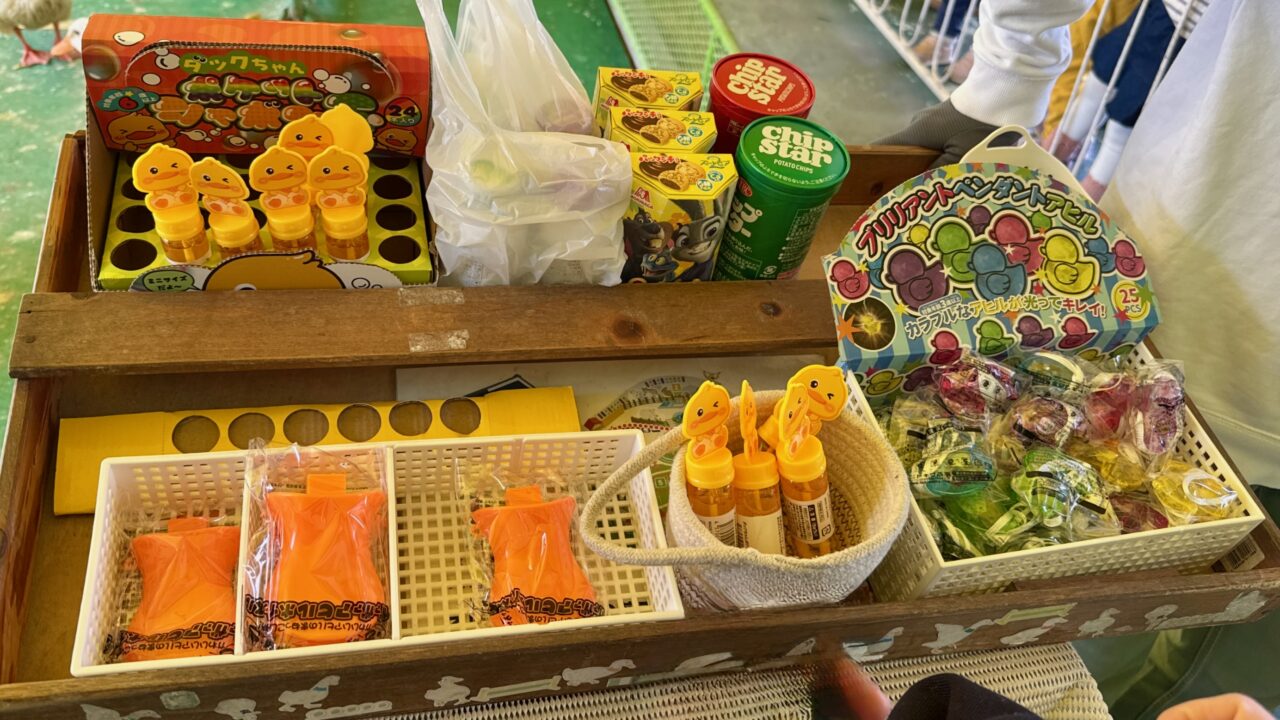 「AHIRU CAFE 八わのあひる」あひるの競争