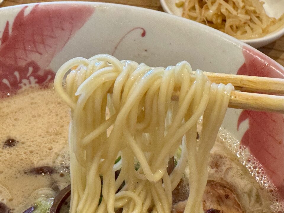 「ラーメン龍の家 下郡バイパス店」とんこつ 純味