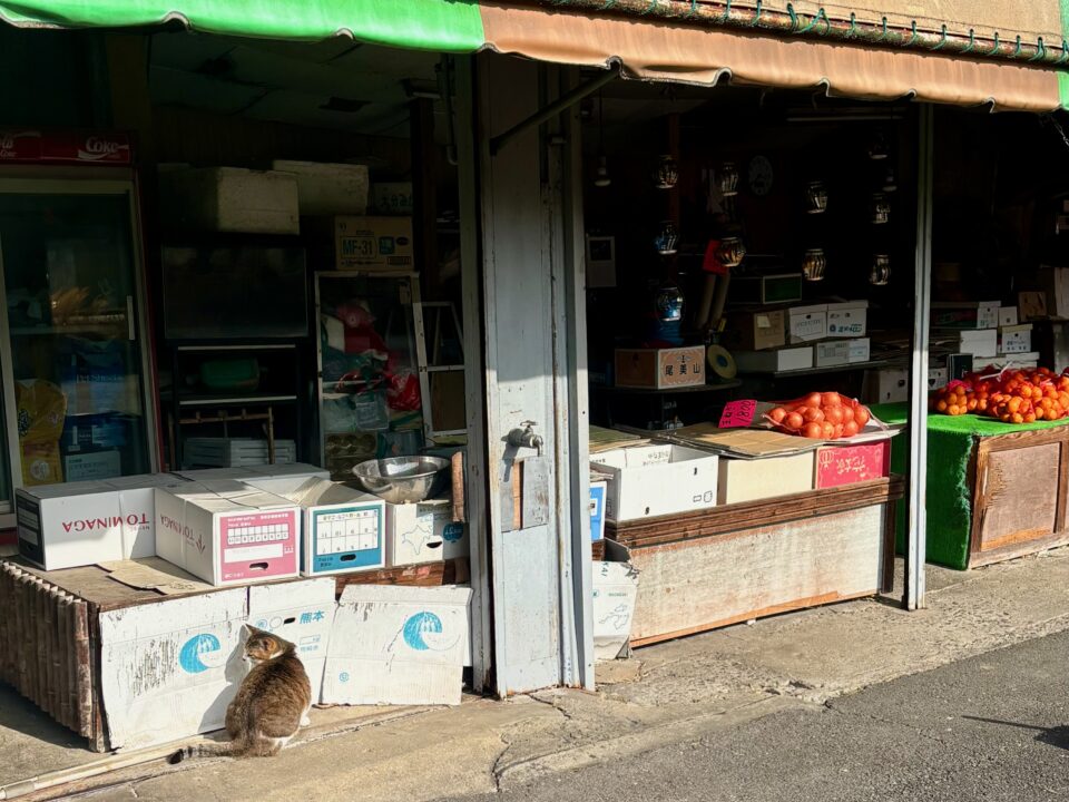 「金子からあげ店」看板猫?