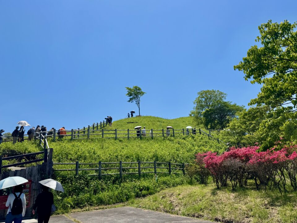 阿蘇市スズラン自生地公園