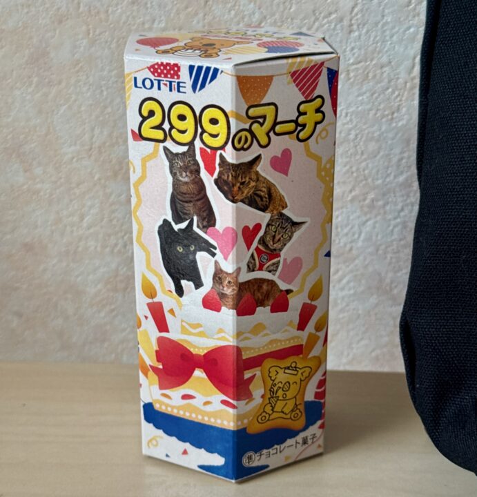 「保護猫カレー屋299」店内