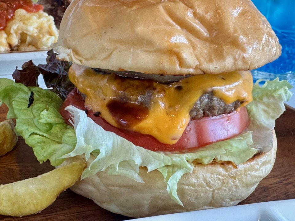 「210Burgers」チーズシングル+
Aセット