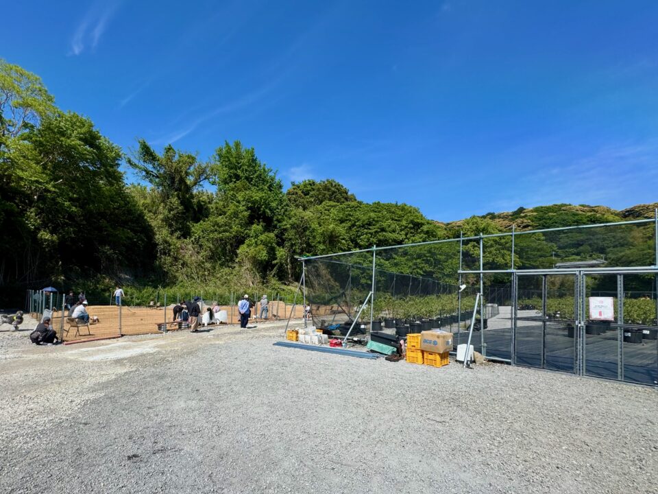 「ブルーベリーファームうすき」ブルーベリー観光農園とドッグラン