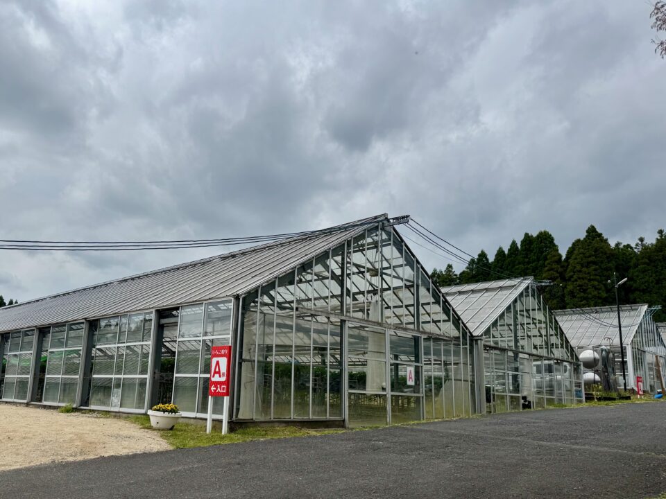 「石窯ダイニングfuu 」いちご狩り